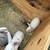 Rabbit 1 thumbnail