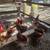 Rooster and chicken 5 thumbnail