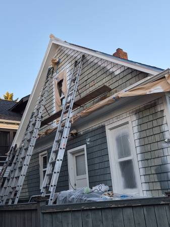 Pro Painting /Specializing in Lath and Plaster Repair 1