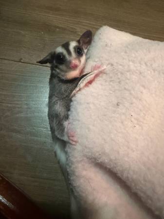 Looking for a home 1