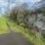 DECKS~ FENCES~ ROOFING~ PAINTING & MORE 3 thumbnail
