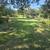 Landscape 21 thumbnail