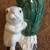 Rabit vase 4 thumbnail