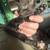 Kittens/Barn Cats 3 thumbnail
