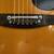 Vintage Ensenada WG-65 Dreadnought Acoustic guitar and case 3 thumbnail