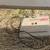 Desk Lamp 3 thumbnail