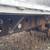 1994 60 TON FRAME COMPOSITE 45 ft. FLAT BED TRAILER- 12 thumbnail