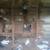 Pigeons 1 thumbnail