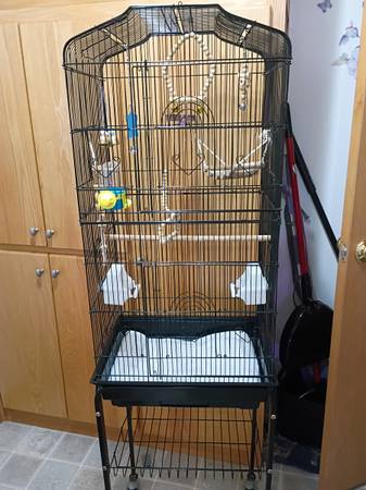 Bird cage 1