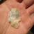 **Arrowheads and Artifacts** 6 thumbnail