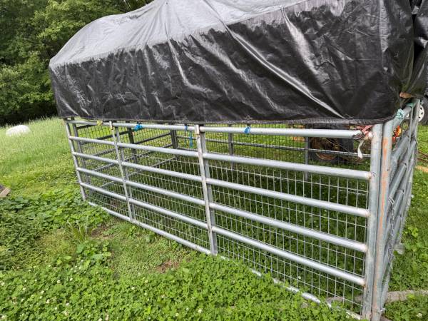 12ft cattle racks 1