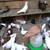 Fancy Pigeons For Sale Cappuccinos Turkish German Owls Rollers+++ 7 thumbnail