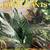 How To Grow Healthy House Plants by Rob Herwig 1 thumbnail