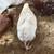 Rabbit /Laying hens and roosters 2 thumbnail