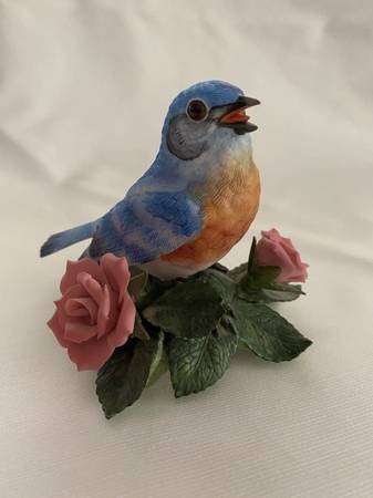 Bluebird 1
