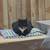 Lost Cat 2 thumbnail