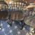 Maple Dining drop Leaf table and chairs 7 thumbnail