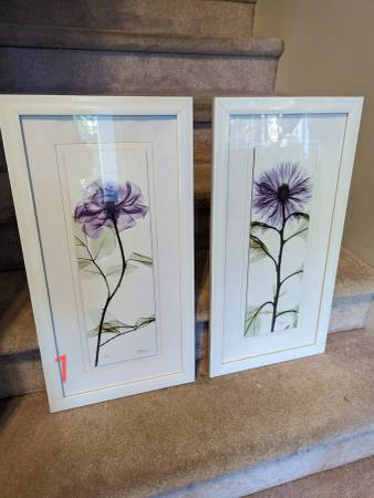 Assorted Framed Prints 1