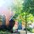 Sunny ARTIST'S work studio in oasis of green. Artists' Collective Sept 20 thumbnail