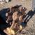 Excavator Buckets and Compactor Wheel 6 thumbnail