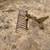 Rock rake 6 thumbnail
