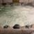 HOT TUB 6 thumbnail
