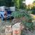 🚚⭐️👍😊 TheJunkGuy.ca - JUNK REMOVAL MADE EASY! 7 thumbnail