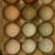RAINBOW DOZEN HATCHING EGGS – $15 (Mocksville) 2 thumbnail