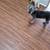 Dog sitter 1 thumbnail