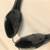 Never-Used Philips Earphones AY3682 2 thumbnail