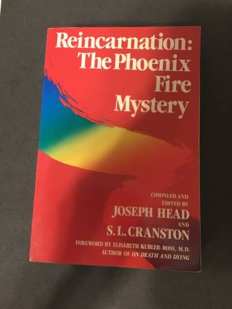 Reincarnation: The Phoenix Fire Mystery 1
