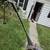 Craftsman electric edger / tiller 1 thumbnail