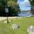 4 year round cabins, 1 house and two garages, 1 pavilion on 24 acres. 20 thumbnail