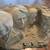 Enesco National Treasures ~ "Shrine of Democracy" Mount Rushmore 3 thumbnail
