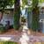 Awesome Apt - Pet Friendly - Laundry Facilities - Contact Us! 8 thumbnail