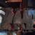 Pontiac Tri Power Intake Manifold 4 thumbnail