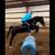 Super nice pony! 9 thumbnail