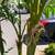 8ft artificial palm tree with night light, excellent condition 3 thumbnail