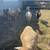 Sheep 4 thumbnail