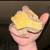Crested geckos 6 thumbnail
