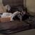Cane corso 8 thumbnail
