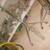 VINT. DRUM STANDS LUDWIG,  SLINGERLAND, TAMA BOOM & CYMBAL STANDS 8 thumbnail