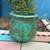 Flower Pots 13 thumbnail