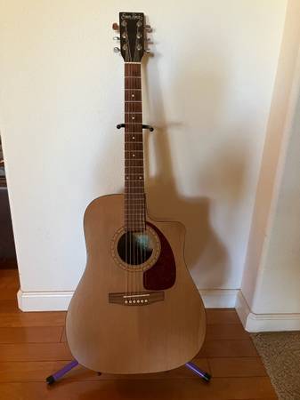 Simon and Patrick Acoustic Guitar 1