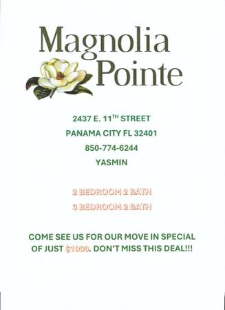 $1,049 / 2br - 1213ft2 - Magnolia Pointe Apartment **Move In Special** (Panama City FL)63813012932739120