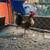 Rooster 2 thumbnail