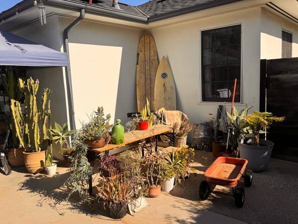 Yard sale photo