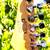 Ibanez S series 6 thumbnail