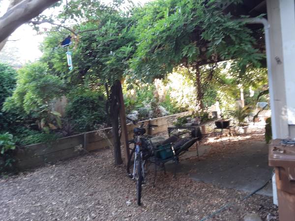 $900 / 2br - FURNISHED ROOM and guest bath (concord / pleasant hill / martinez)63861103027457123