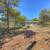 Tired of California? Quiet Texas Hilltop 1BR – 1ST MONTH FREE 5 thumbnail